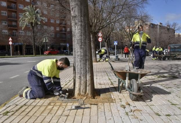 adoquines de Pretensados Durán para reparación en Badajoz